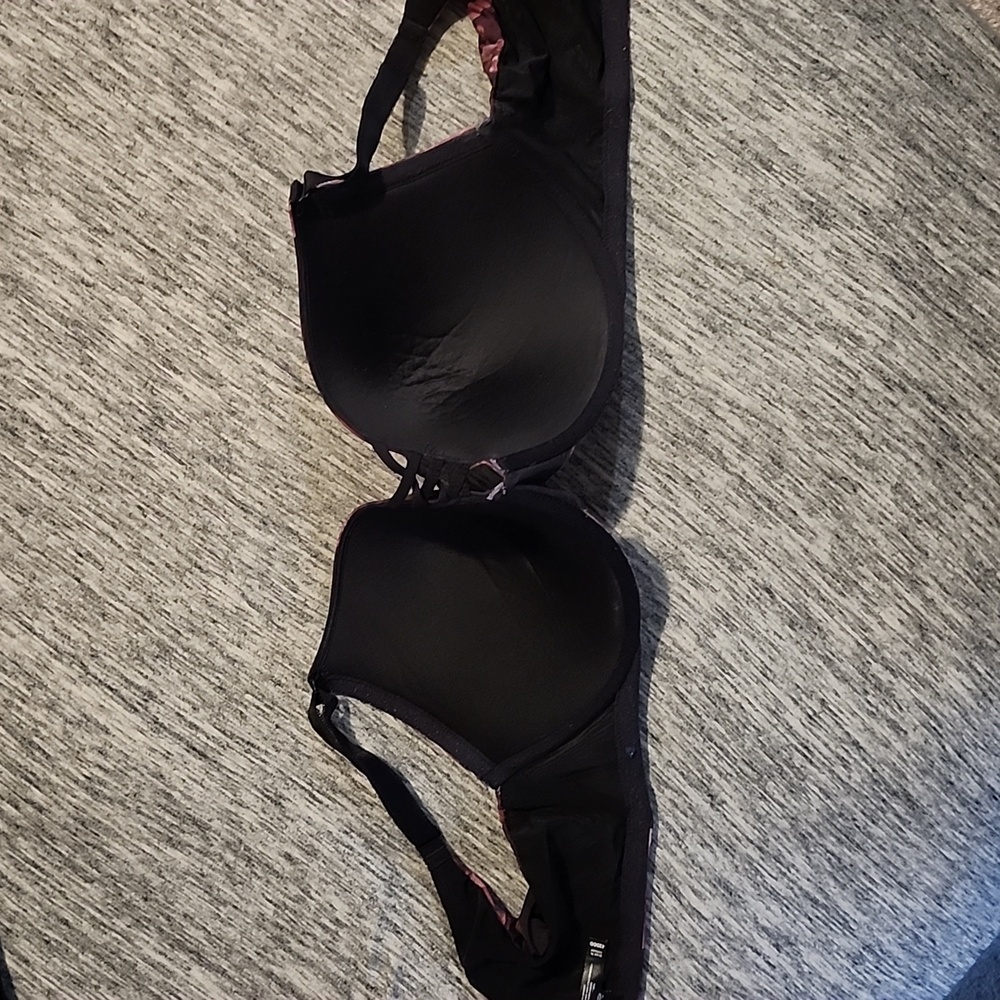 42 DDD torrid curve Rose print brawl